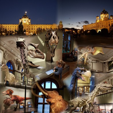 Vienna, Museum, Nature, Dinosaur