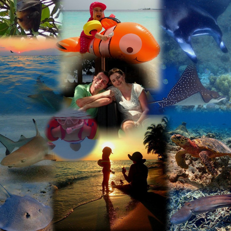 Malediven, Vilamendhoo, Schnorcheln, Paradies, Manta, Walhai