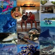 Malediven, Maldives, Angaga, Paradies, Familie, Urlaub, Schnorcheln