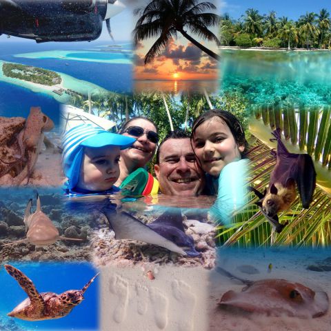 Maldives, Vilamendhoo, Paradise, Reef, Snorkeling, Family