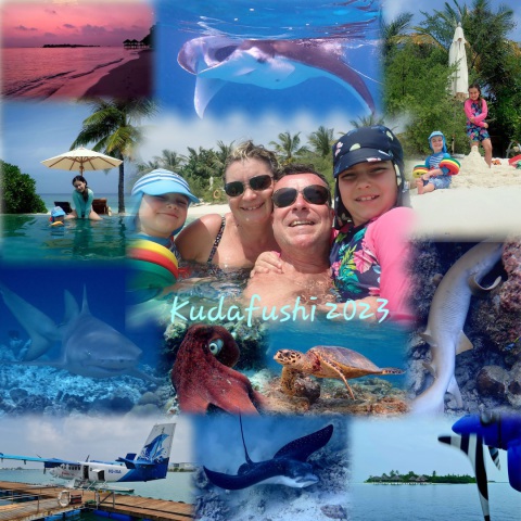 Maldives, Kudafushi, Indian Ocean, Manta, Paradise, Snorkeling