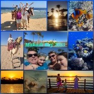 Holidays, Egypt, Camel