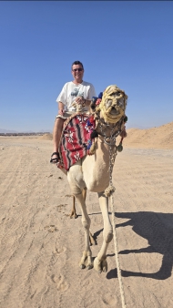 Holidays, Egypt, Camel