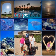 Egypt, Makadi Bay, Reef, Camel, Halloween