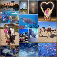 Egypt, Makadi Bay, Reef, Camel, Halloween