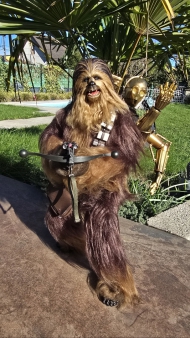 Chewbacca, C-3PO, Hot Toys