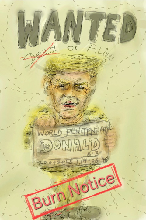 Trump, Gulf, Iran War, USA, Wanted