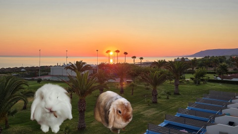 Stitch, Lilo, Sunrise, Crete