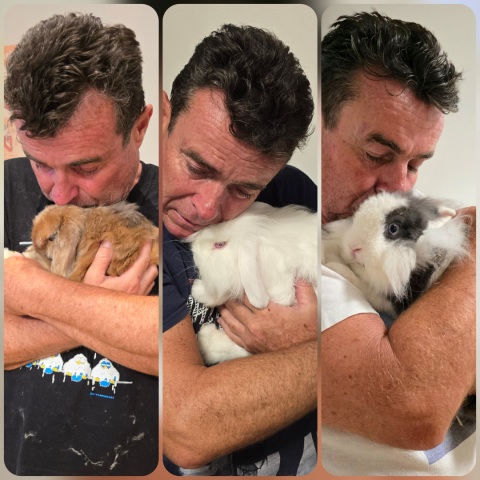 Bunnies, Family, Love